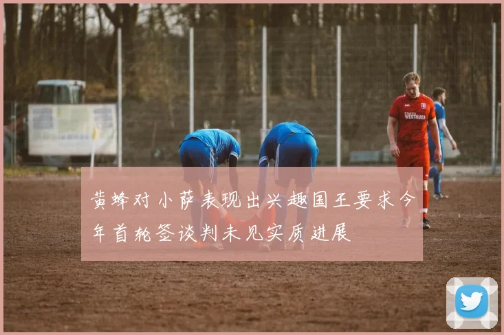 黄蜂对小萨表现出兴趣国王要求今年首轮签谈判未见实质进展