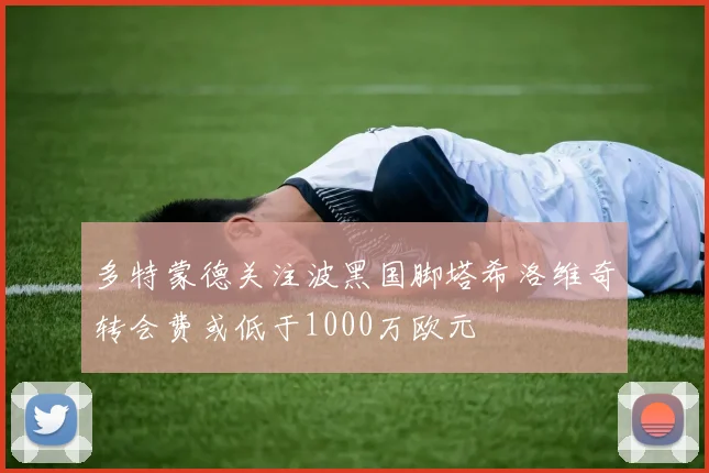 多特蒙德关注波黑国脚塔希洛维奇转会费或低于1000万欧元