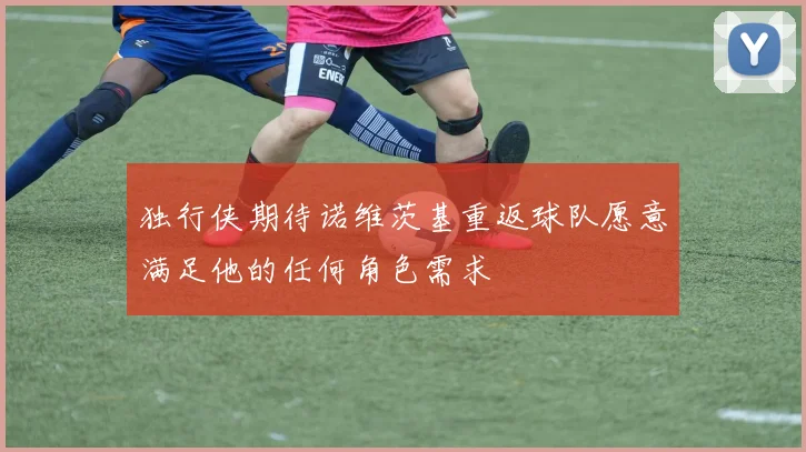 独行侠期待诺维茨基重返球队愿意满足他的任何角色需求